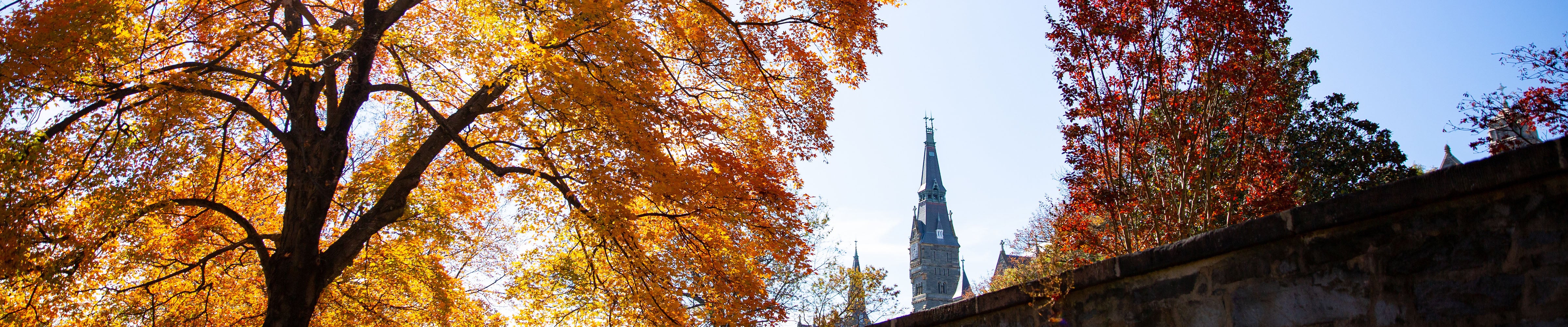 Healy Tower with red and orange leaves on trees in the autumn