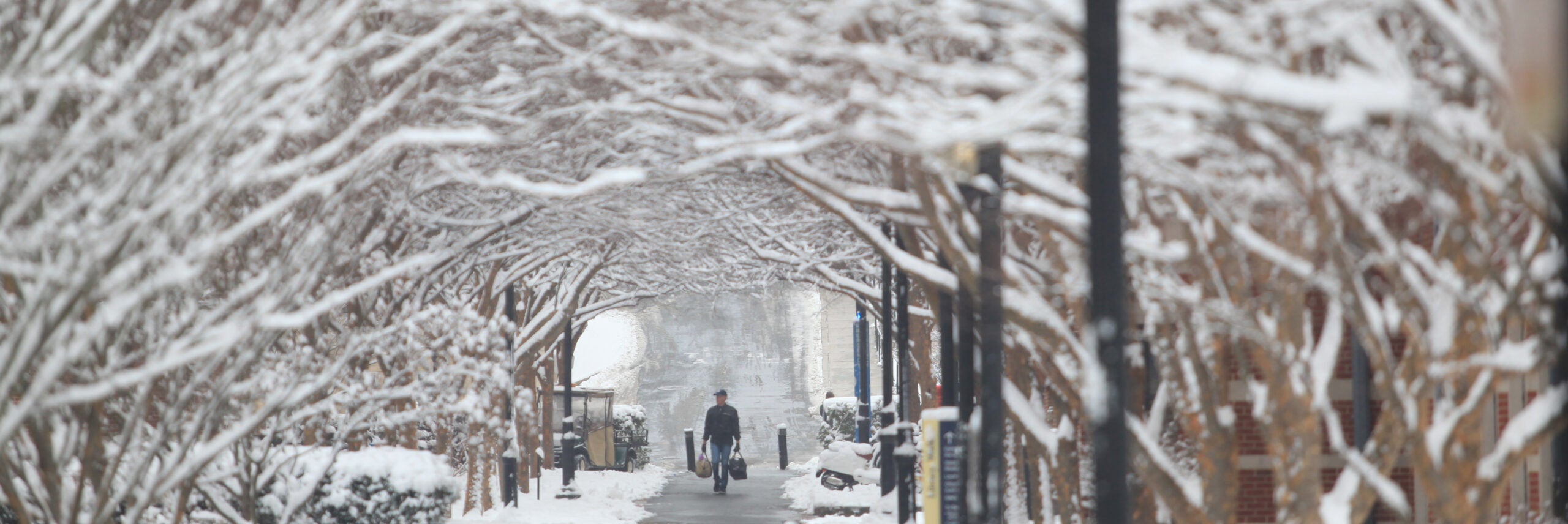 Person walking in distance through snowy trees